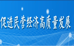 促進民營經濟高質量發展